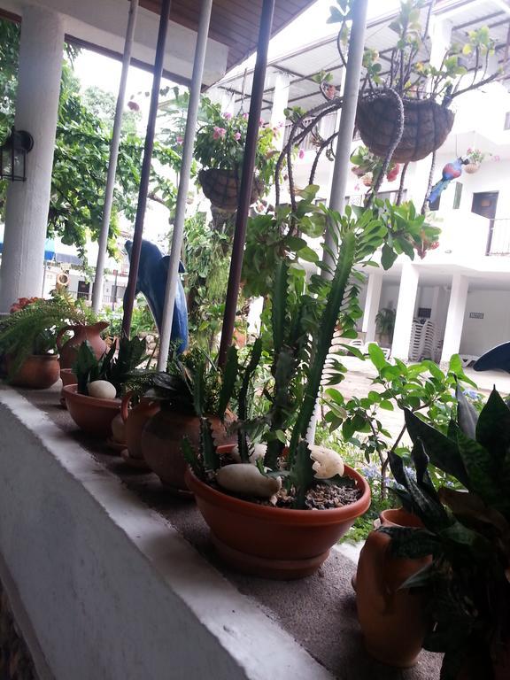 Hotel Villa Maritza Melgar Kültér fotó